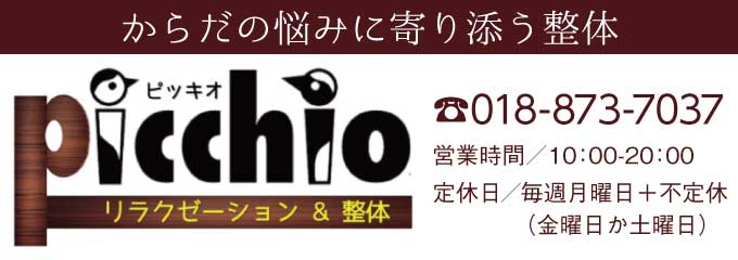 ピッキオ